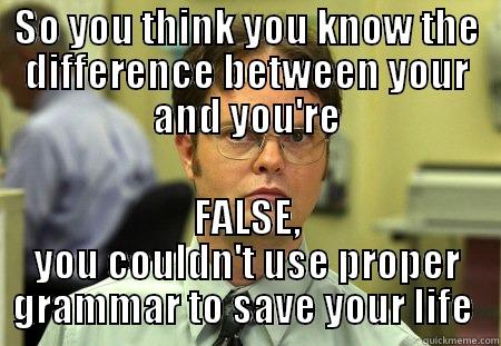 So you think you know the difference between your and you're - SO YOU THINK YOU KNOW THE DIFFERENCE BETWEEN YOUR AND YOU'RE FALSE, YOU COULDN'T USE PROPER GRAMMAR TO SAVE YOUR LIFE  Schrute