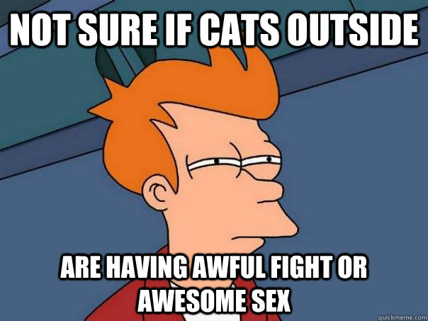 Not sure if cats outside Are having awful fight or awesome sex   Futurama Fry