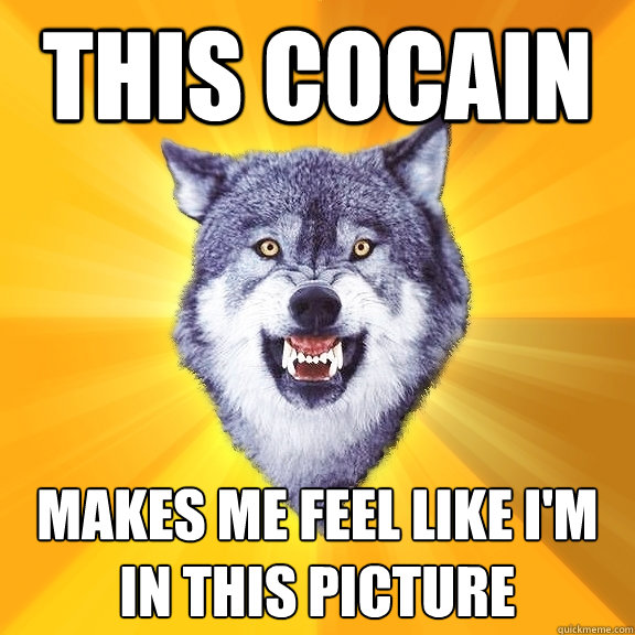 This cocain Makes me feel like i'm in this picture  Courage Wolf