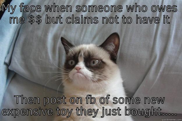 MY FACE WHEN SOMEONE WHO OWES ME $$ BUT CLAIMS NOT TO HAVE IT THEN POST ON FB OF SOME NEW EXPENSIVE TOY THEY JUST BOUGHT..... Grumpy Cat