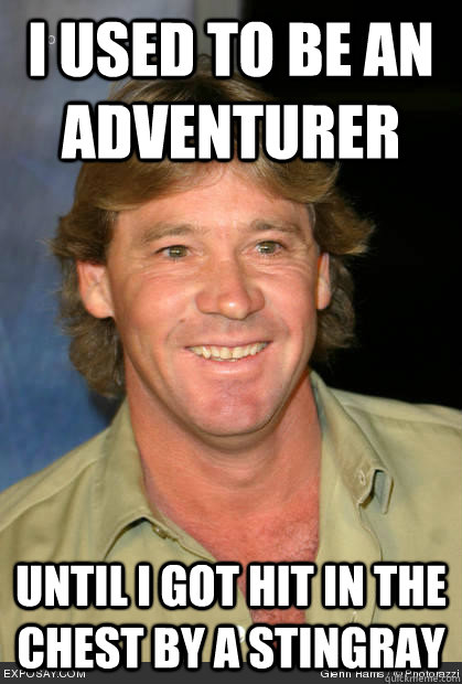 I used to be an adventurer until i got hit in the chest by a stingray - I used to be an adventurer until i got hit in the chest by a stingray  Who da fuck knows who steve irwin is