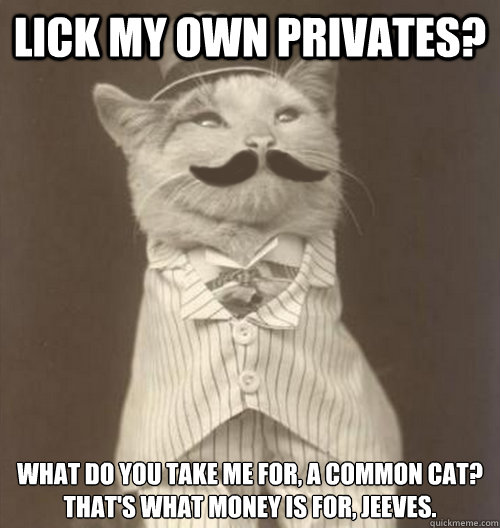 lick my own privates? what do you take me for, a common cat?
that's what money is for, Jeeves.
  Original Business Cat