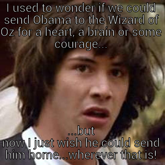 I USED TO WONDER IF WE COULD SEND OBAMA TO THE WIZARD OF OZ FOR A HEART, A BRAIN OR SOME COURAGE... ...BUT NOW I JUST WISH HE COULD SEND HIM HOME...WHEREVER THAT IS! conspiracy keanu