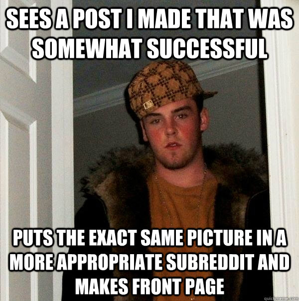 sees a post i made that was somewhat successful puts the exact same picture in a more appropriate subreddit and makes front page - sees a post i made that was somewhat successful puts the exact same picture in a more appropriate subreddit and makes front page  Scumbag Steve