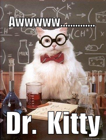         AWWWWW..............   DR.  KITTY Chemistry Cat