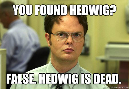 You found Hedwig? False. Hedwig is dead. - You found Hedwig? False. Hedwig is dead.  Dwight