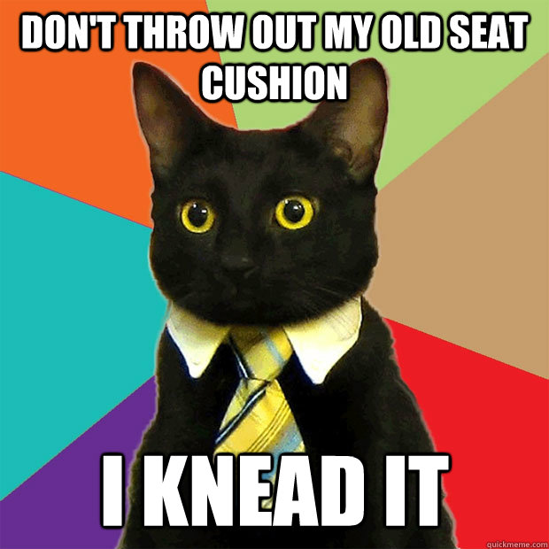 Don't throw out my old seat cushion I knead it  Business Cat