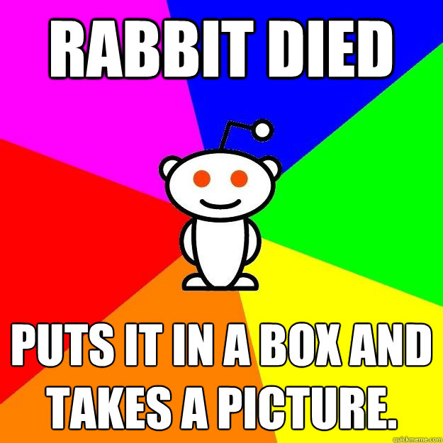 Rabbit died Puts it in a box and takes a picture.  Reddit Alien