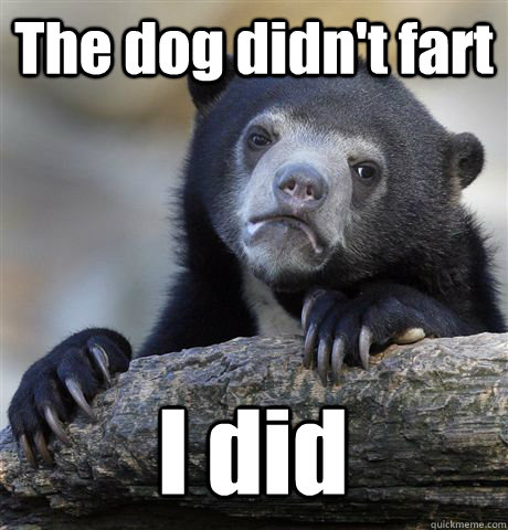 The dog didn't fart I did  Confession Bear