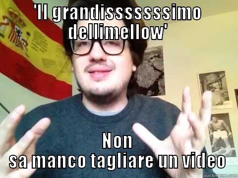 'IL GRANDISSSSSSSIMO DELLIMELLOW' NON SA MANCO TAGLIARE UN VIDEO Misc