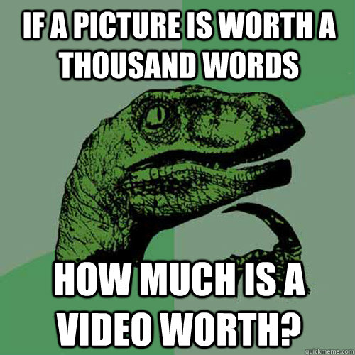 If a picture is worth a thousand words how much is a video worth? - If a picture is worth a thousand words how much is a video worth?  Philosoraptor