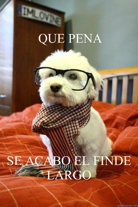 QUE PENA SE ACABO EL FINDE LARGO  Hipster Dog