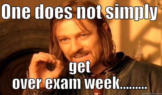 ONE DOES NOT SIMPLY  GET OVER EXAM WEEK......... Boromir