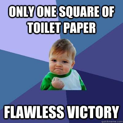 Only one square of toilet paper Flawless victory   Success Kid