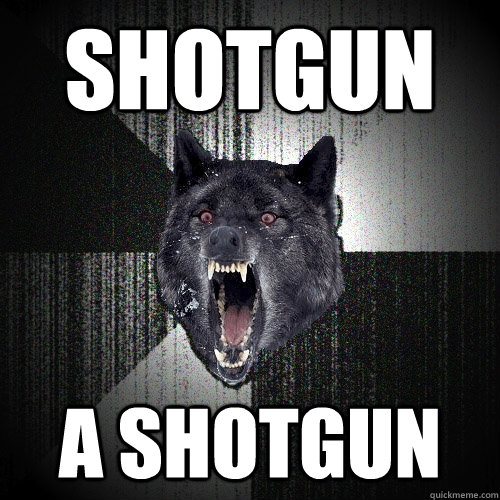 Shotgun a shotgun  Insanity Wolf