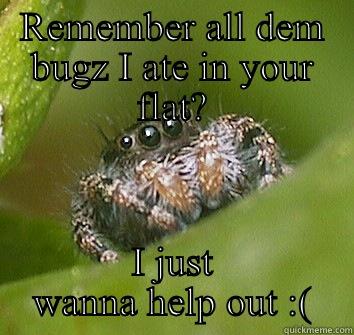 Spider friend - REMEMBER ALL DEM BUGZ I ATE IN YOUR FLAT? I JUST WANNA HELP OUT :( Misunderstood Spider