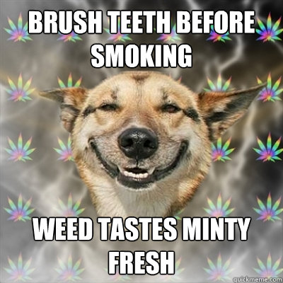 BRUSH TEETH BEFORE SMOKING WEED TASTES MINTY FRESH  Stoner Dog