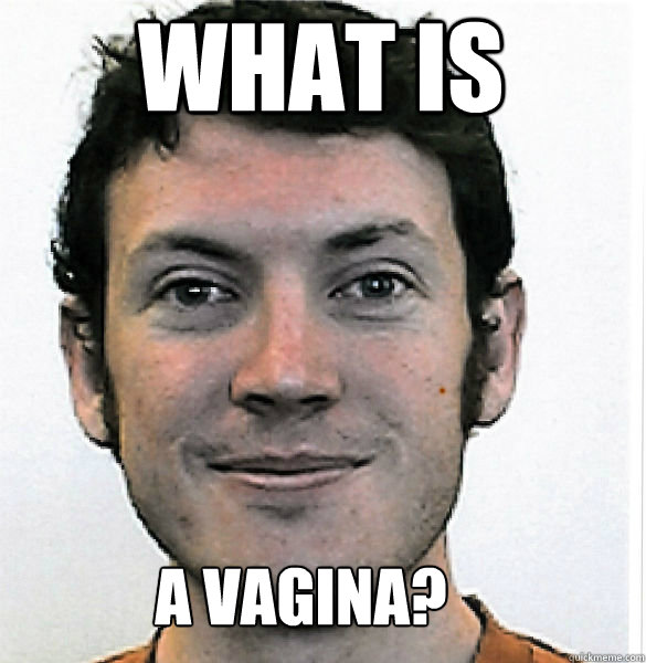 what is a vagina? - what is a vagina?  James Holmes