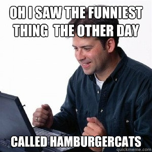 Oh I saw the funniest thing  the other day called hamburgercats  Lonely Computer Guy