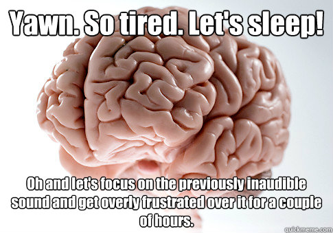 Yawn. So tired. Let's sleep! Oh and let's focus on the previously inaudible sound and get overly frustrated over it for a couple of hours.   Scumbag Brain