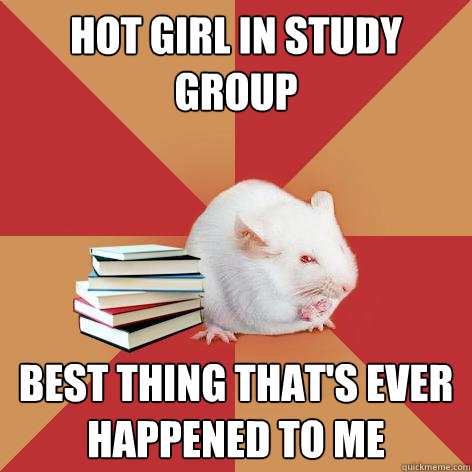 Hot girl in study group best thing that's ever happened to me  Science Major Mouse