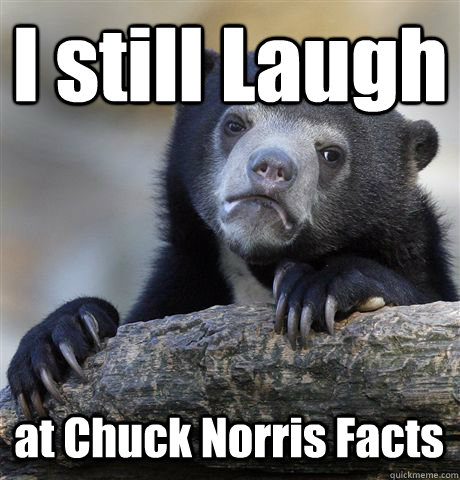 I still Laugh at Chuck Norris Facts - I still Laugh at Chuck Norris Facts  Confession Bear