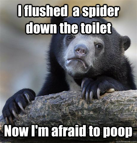 I flushed  a spider down the toilet Now I'm afraid to poop - I flushed  a spider down the toilet Now I'm afraid to poop  Confession Bear