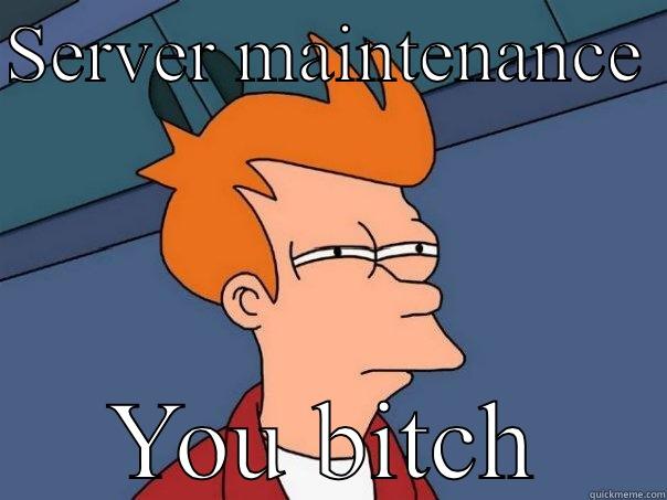 SERVER MAINTENANCE  YOU BITCH Futurama Fry