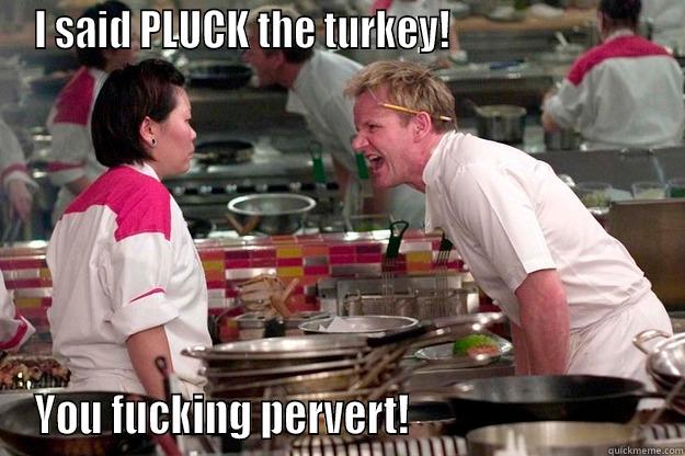 I SAID PLUCK THE TURKEY!                          YOU FUCKING PERVERT!                              Gordon Ramsay