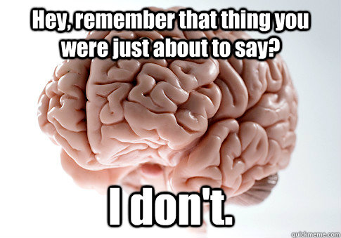 Hey, remember that thing you were just about to say? I don't.  Scumbag Brain