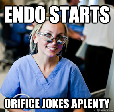 endo starts orifice jokes aplenty  overworked dental student