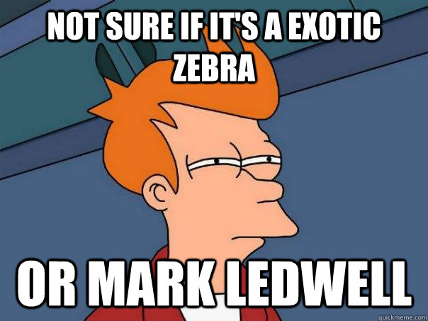 Not sure if it's a exotic zebra or mark ledwell  Futurama Fry