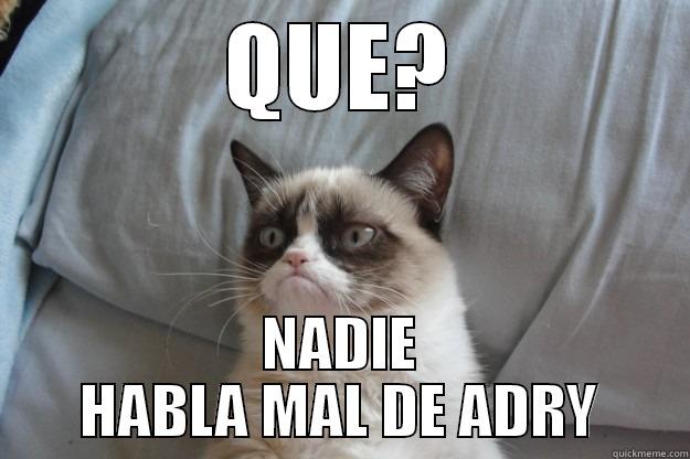 QUE? NADIE HABLA MAL DE ADRY Grumpy Cat