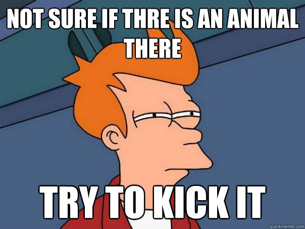 not sure if thre is an animal there try to kick it  Futurama Fry