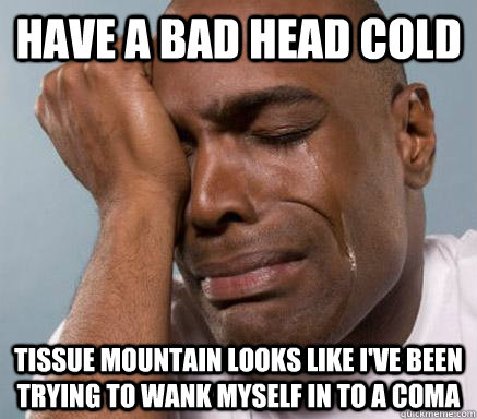 have a bad head cold Tissue mountain looks like I've been trying to wank myself in to a coma  First World Guy Problems