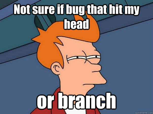 Not sure if bug that hit my head or branch  Futurama Fry