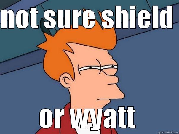 NOT SURE SHIELD  OR WYATT Futurama Fry