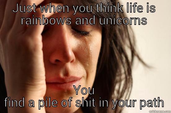 JUST WHEN YOU THINK LIFE IS RAINBOWS AND UNICORNS YOU FIND A PILE OF SHIT IN YOUR PATH First World Problems