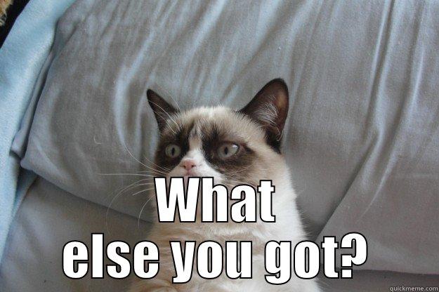  WHAT ELSE YOU GOT? Grumpy Cat