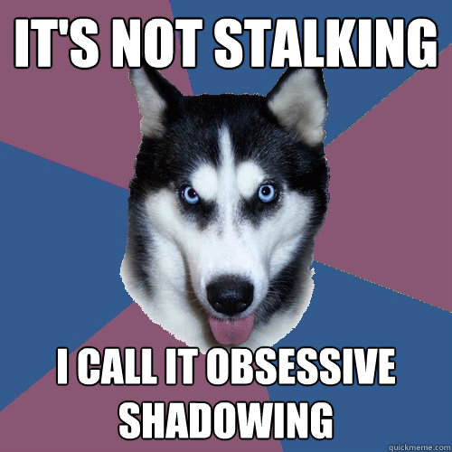 It's not stalking i call it obsessive shadowing  Creeper Canine