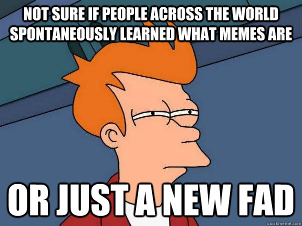 Not sure if people across the world spontaneously learned what memes are Or just a new fad  Futurama Fry