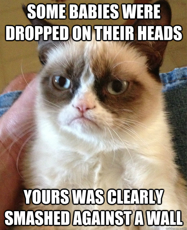 some babies were dropped on their heads yours was clearly smashed against a wall  Grumpy Cat