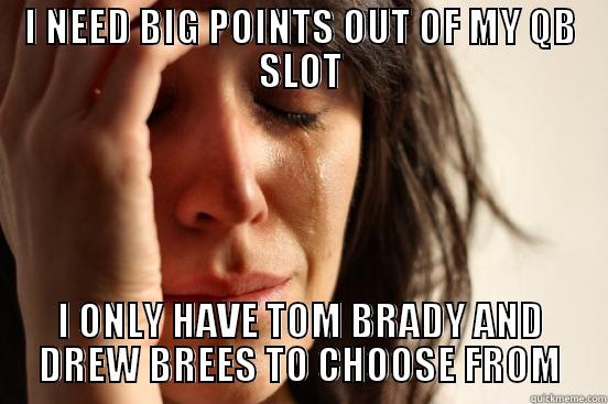 I NEED BIG POINTS OUT OF MY QB SLOT I ONLY HAVE TOM BRADY AND DREW BREES TO CHOOSE FROM First World Problems