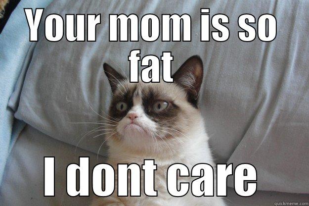 Hahahah True - YOUR MOM IS SO FAT I DONT CARE Grumpy Cat