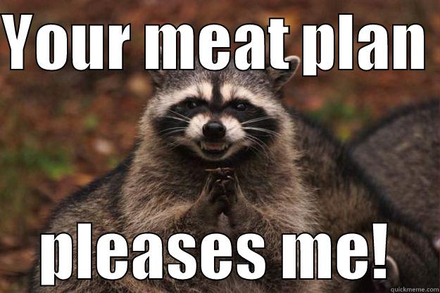 YOUR MEAT PLAN  PLEASES ME! Evil Plotting Raccoon