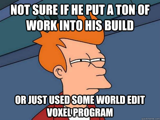 Not sure if he put a ton of work into his build Or just used some world edit voxel program  Futurama Fry