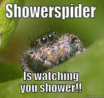 SHOWERSPIDER IS WATCHING YOU SHOWER!! Misunderstood Spider