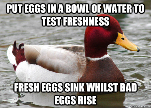 Put eggs in a bowl of water to test freshness Fresh eggs sink whilst bad eggs rise  Malicious Advice Mallard