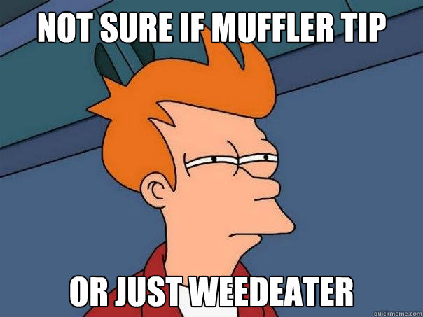 NOT SURE IF MUFFLER TIP OR JUST WEEDEATER  Futurama Fry