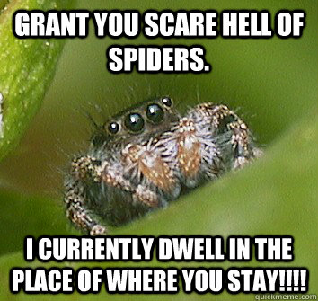 Grant you scare hell of spiders. I currently dwell in the place of where you stay!!!! - Grant you scare hell of spiders. I currently dwell in the place of where you stay!!!!  Misunderstood Spider